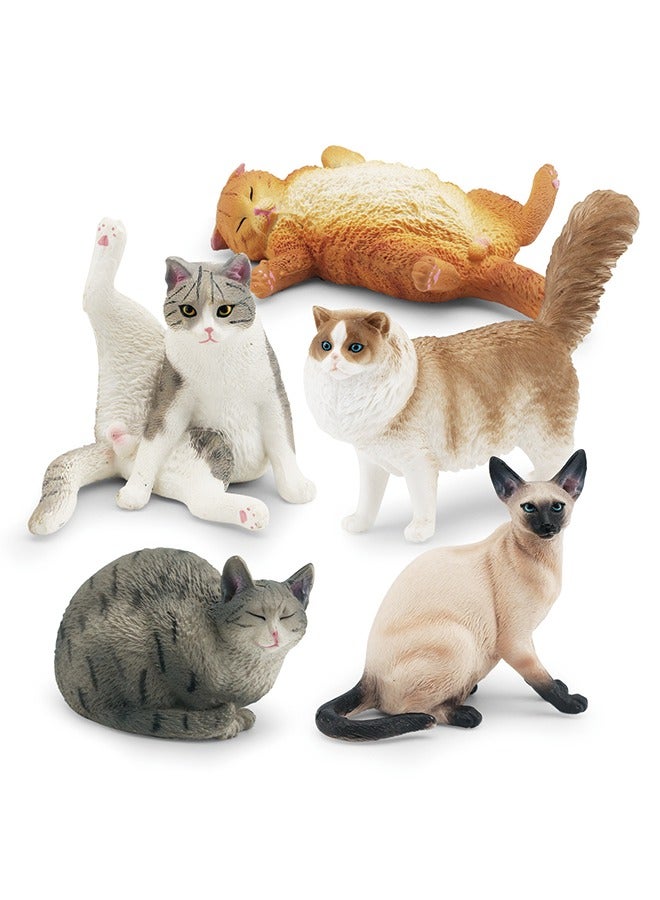 Children’s Realistic Cat Model Set – 10 Pieces (Ragdoll, Orange Cat, Gray Cat, Siamese Cat, and More) – Lazy Poses, Hand-Painted Animal Figurines – Eco-Friendly PVC Material – Lifelike Cat Decorations