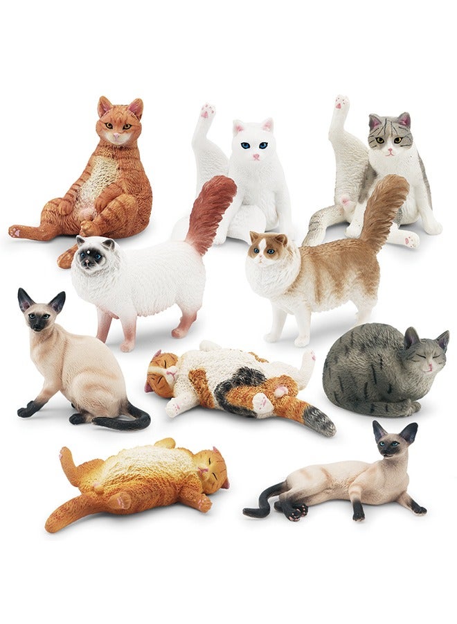 Children’s Realistic Cat Model Set – 10 Pieces (Ragdoll, Orange Cat, Gray Cat, Siamese Cat, and More) – Lazy Poses, Hand-Painted Animal Figurines – Eco-Friendly PVC Material – Lifelike Cat Decorations