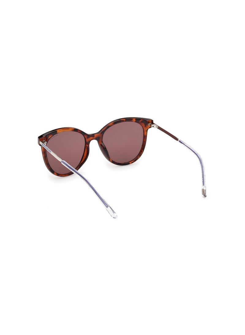 Girls Round Shape  Sunglasses SE0002452D52 Lens Size: 52 Millimeter - Dark Havana