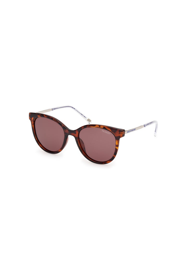 Girls Round Shape  Sunglasses SE0002452D52 Lens Size: 52 Millimeter - Dark Havana