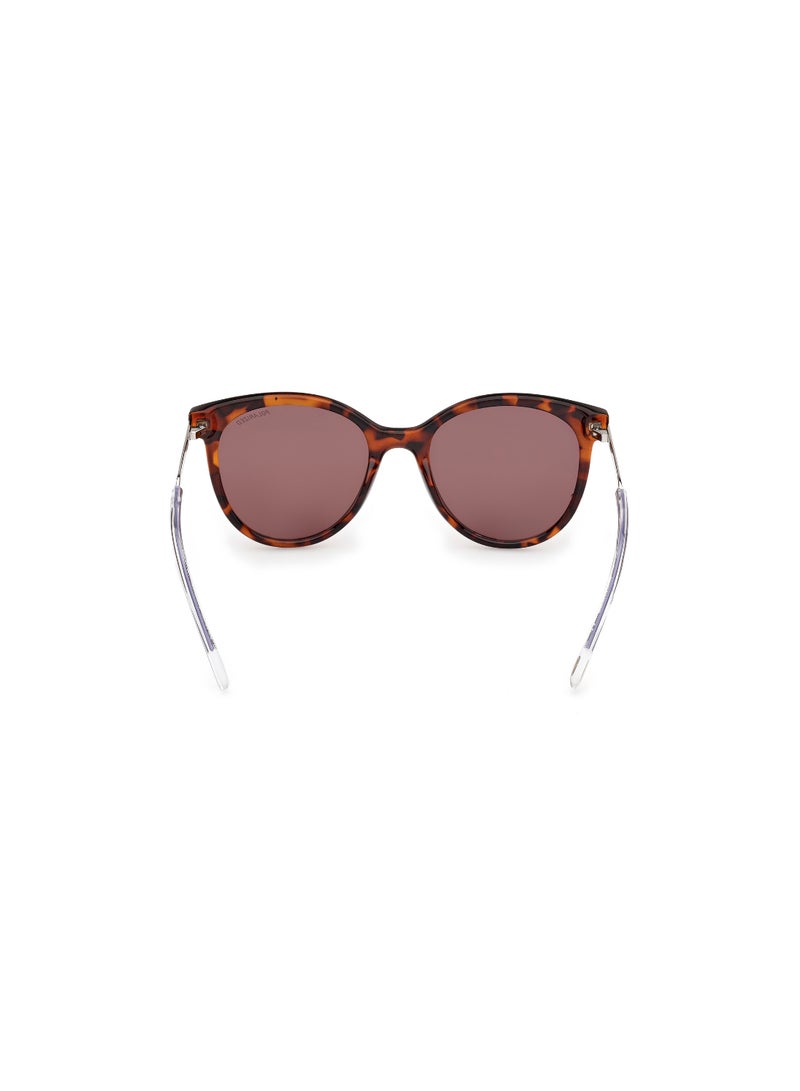 Girls Round Shape  Sunglasses SE0002452D52 Lens Size: 52 Millimeter - Dark Havana