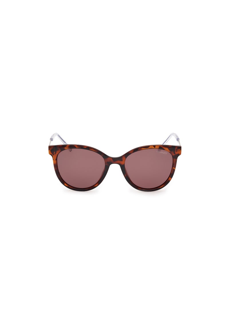 Girls Round Shape  Sunglasses SE0002452D52 Lens Size: 52 Millimeter - Dark Havana