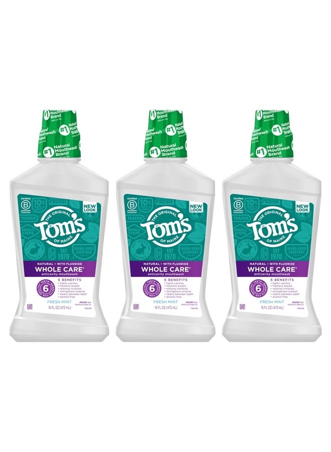 Tom's Of Maine Whole Care Natural Fluoride Mouthwash, Fresh Mint, 16 Oz (Pack of 3) (Packaging May Vary)