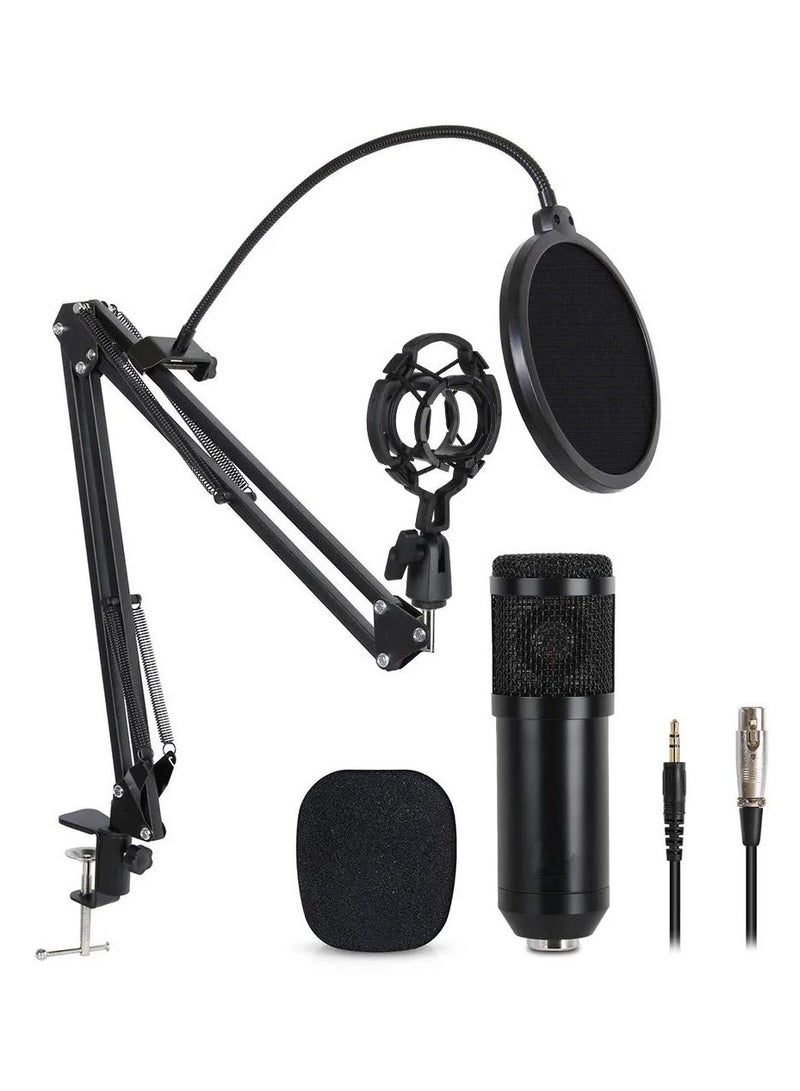 V8 Audio Mixer BM800 Condenser Microphone Live Sound Card BT USB Game DSP Recording Professional Streaming