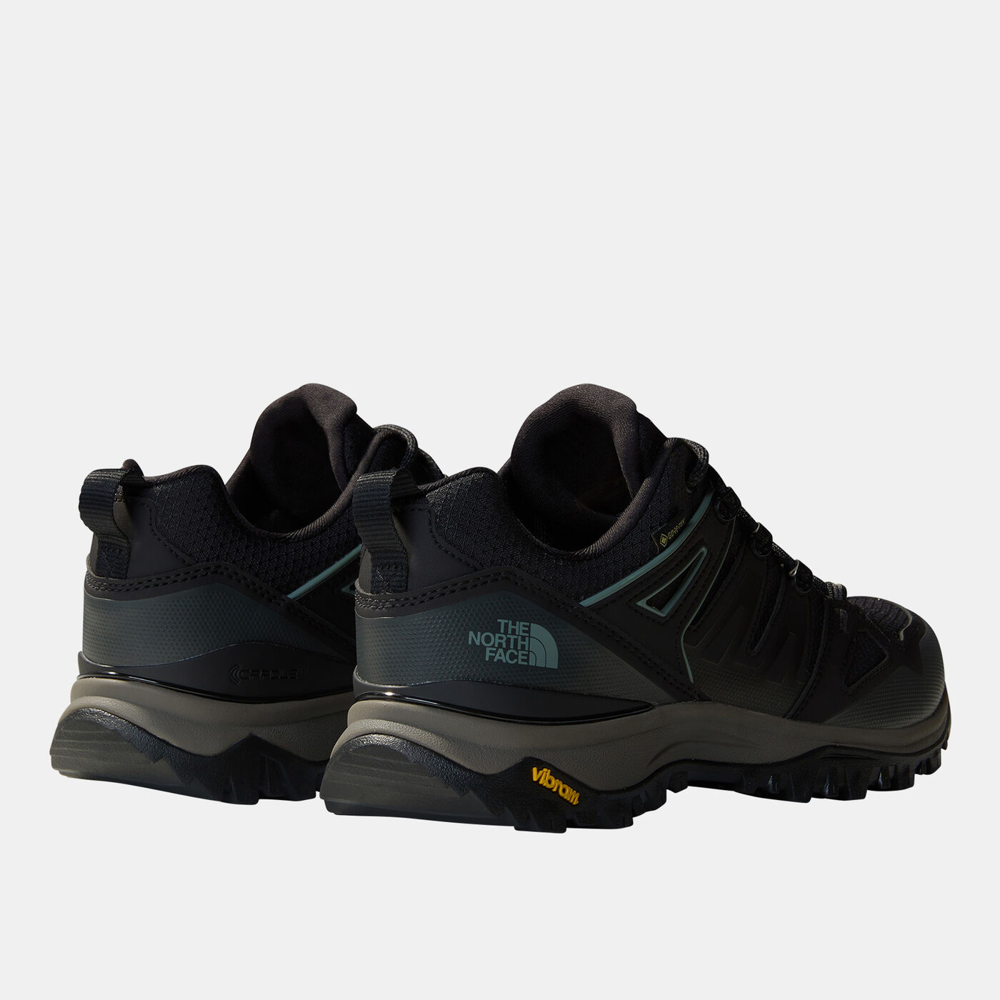 Men's Hedgehog GORE-TEX Hiking Shoes