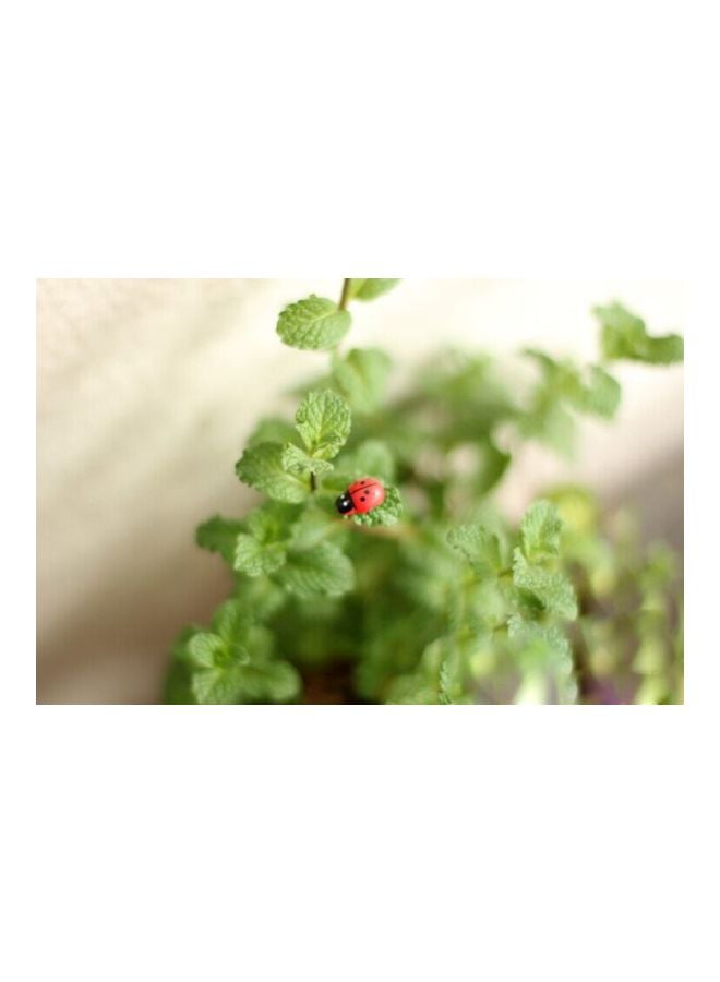 100-Piece Wood Ladybug Miniature