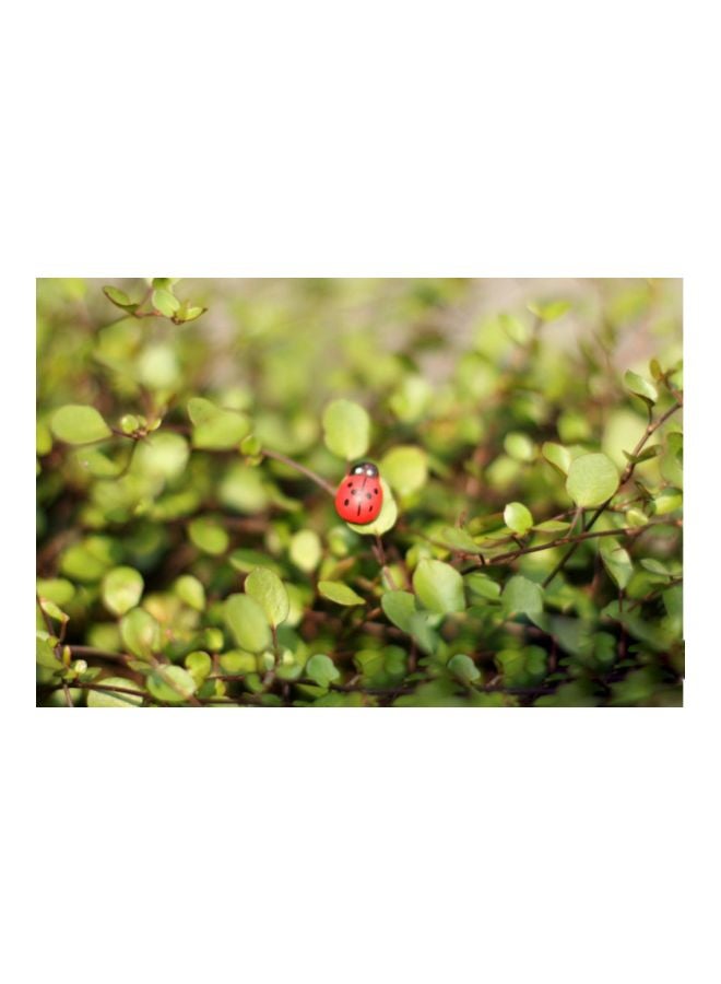 100-Piece Wood Ladybug Miniature