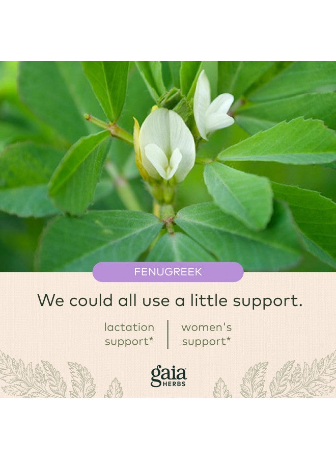 Gaia Herbs Fenugreek Seed - Helps Support Healthy Lactation and  - Made with Organic Fenugreek Seeds - 60 Vegan Liquid Phyto-Capsules (Up to 15-Day Supply)