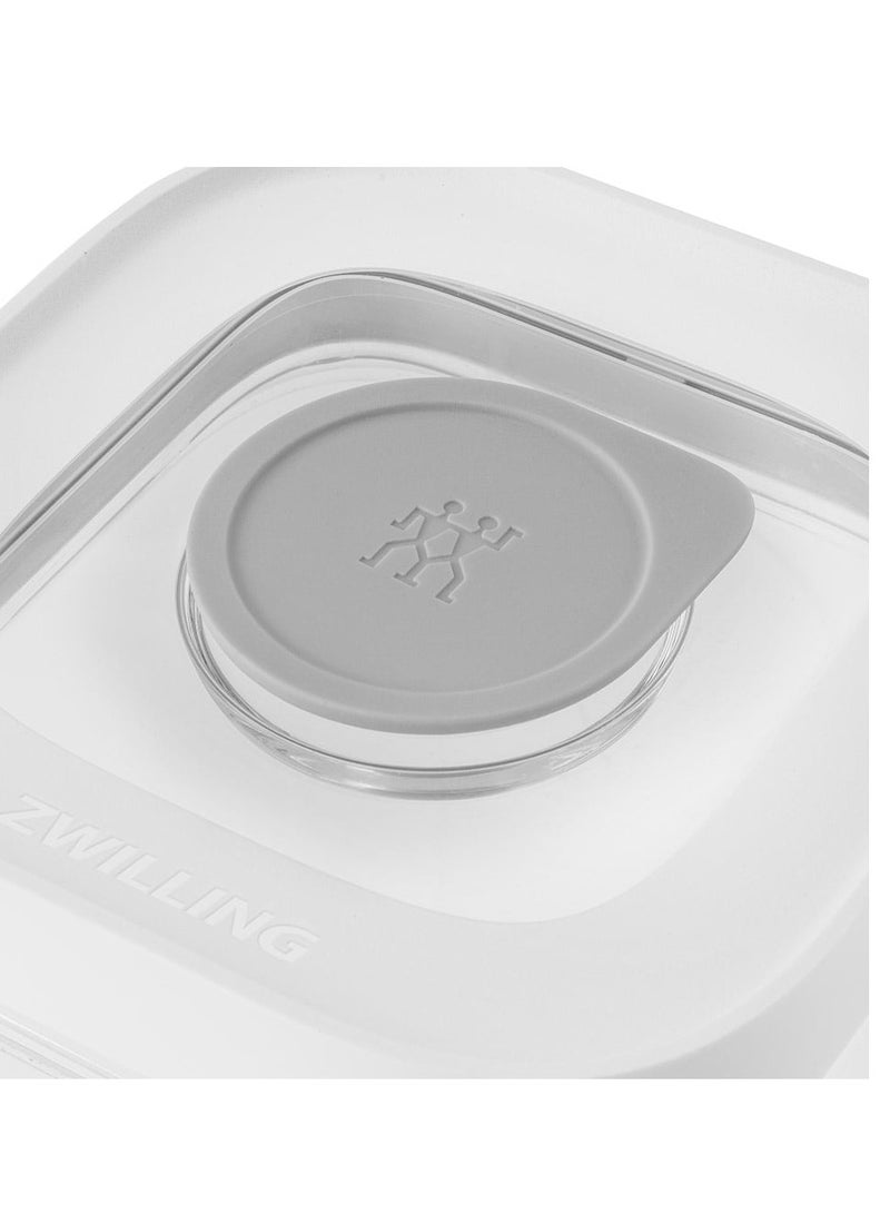 Fresh & Save Cube Container, Medium