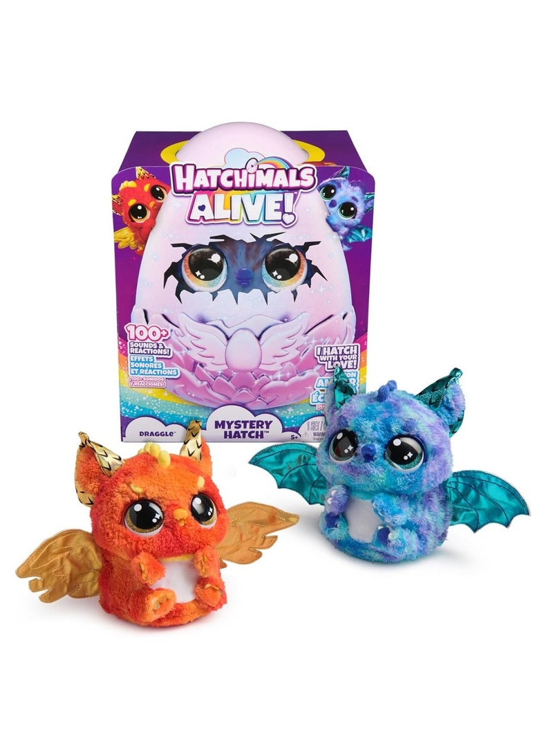 Hatchimals Alive Secret Draggle 6072544 - 1 Piece Only, Assorted/Style May Vary