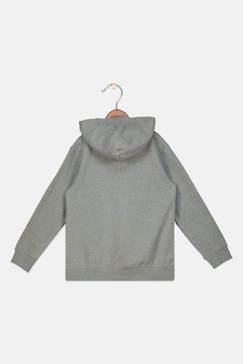 Kids Boy Hooded Embroidered Sweatshirt, Grey