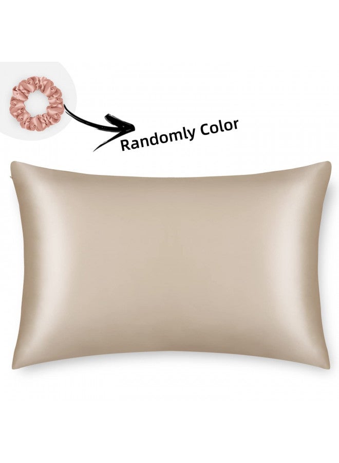 ALASKA BEAR Natural Silk Pillowcase, Hypoallergenic, 19 Momme, 600 Thread Count 100 Percent Mulberry Silk, Queen Size with Hidden Zipper (1,Champagne Gold)