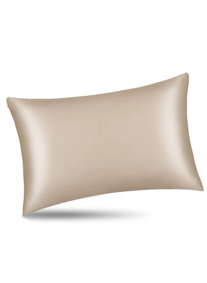 ALASKA BEAR Natural Silk Pillowcase, Hypoallergenic, 19 Momme, 600 Thread Count 100 Percent Mulberry Silk, Queen Size with Hidden Zipper (1,Champagne Gold)