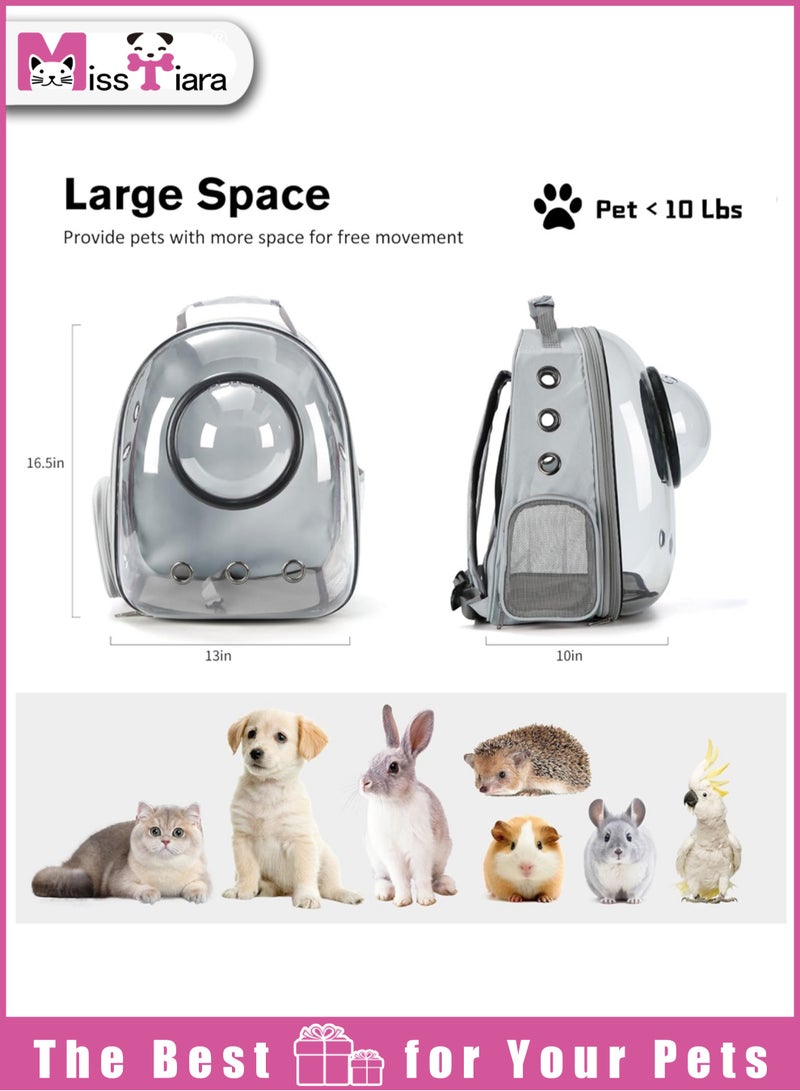 Pet Space Capsule Backpack, Small Medium Cat Puppy Dog Carrier, Transparent Breathable Heat Proof, Pet Carrier for Travel Hiking Walking Camping (Blue)