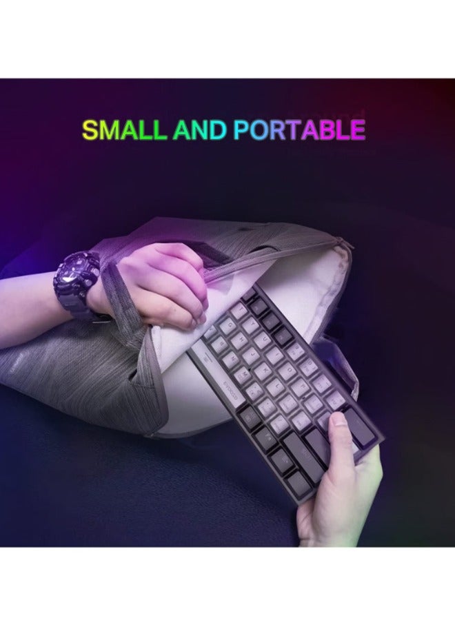 Z-11 60% Wired Mechanical Keyboard, Gaming Keyboard Backlit Mini Keyboard,Small Compact 61 Keys Wired Keyboard For Desktop Laptop (Black Gray Red Switch)