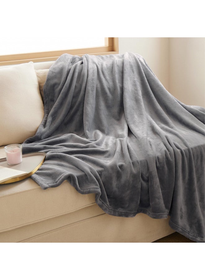 Bedsure Fleece Blankets Twin Size Grey - 300GSM Lightweight Plush Fuzzy Cozy Soft Twin Blanket for Bed, Sofa, Couch, Travel, Camping, 60x80 inches