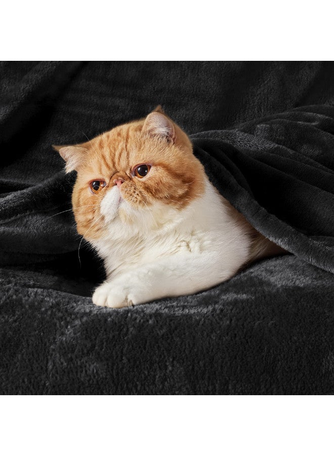 Bedsure Fleece Blanket Twin Blanket Black - 300GSM Soft Lightweight Plush Cozy Twin Blankets for Bed, Sofa, Couch, Travel, Camping, 60x80 inches