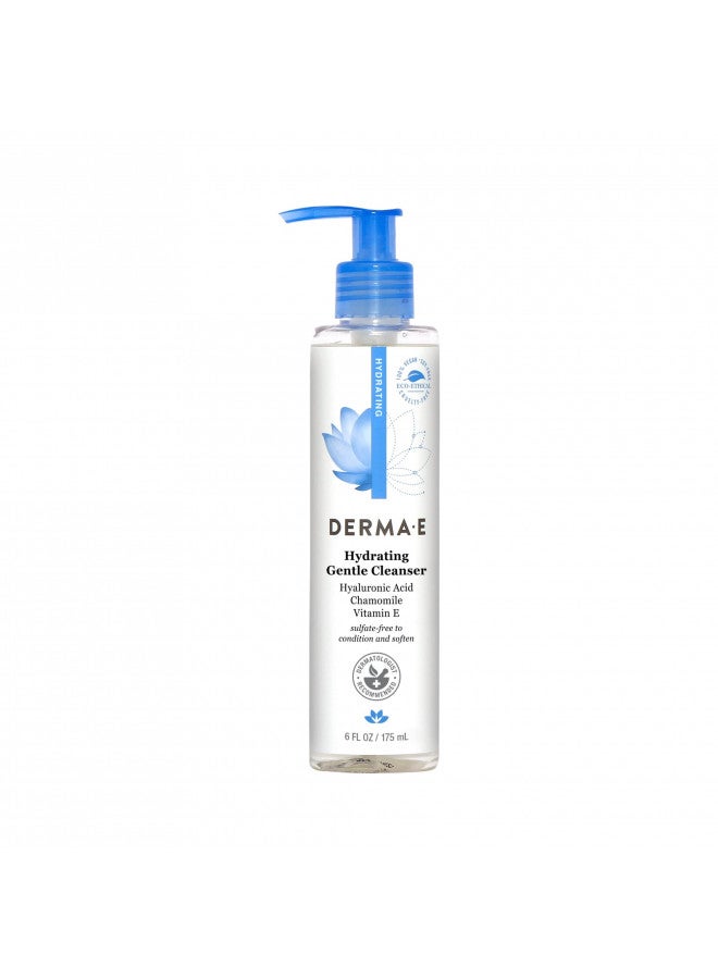 DERMA-E Hydrating Gentle Cleanser with Hyaluronic Acid Moisturizing Facial Cleanser Tones, Moisturizes & Improves Skin Texture Gently Exfoliating Face Wash, 6 fl oz