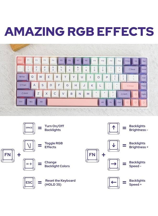 EP84 Plus 75% RGB Hot Swappable 2.4GHz/Bluetooth 5.0/USB-C Wired Mechanical Gaming Keyboard with Programmable Software, NKRO, Dye Sublimation PBT Keycaps for Mac/Win/Gamers(Wisteria Linear)