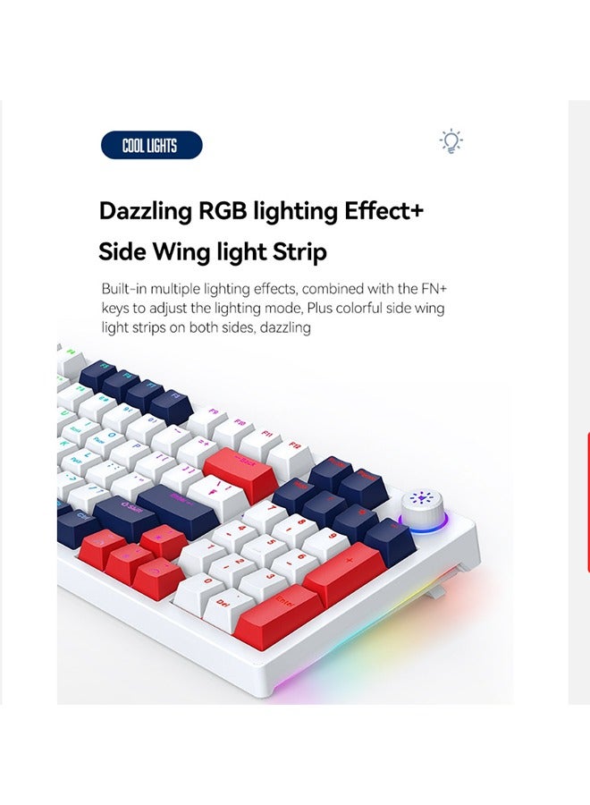 RGB Tri-Mode Mechanical Keyboard,Wireless Gaming Keyboard,96-Key Hot Swappable Bluetooth Keyboard 5.0/2.4G/Wired with Keycap Puller (Red Switch)