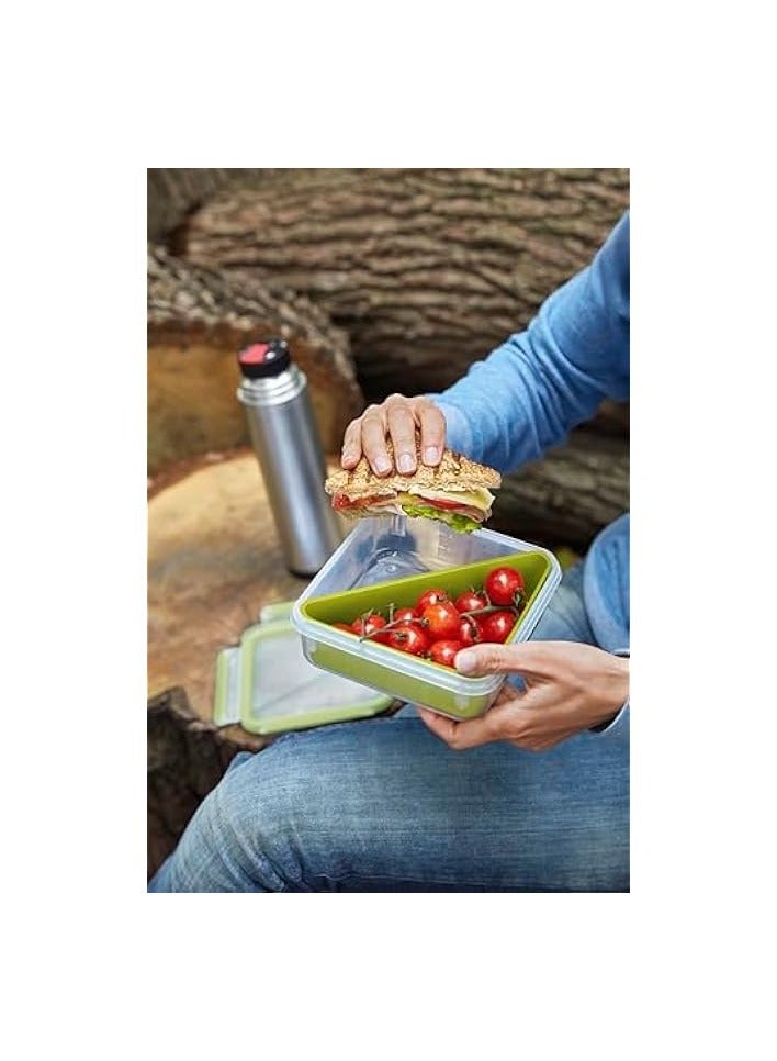 MasterSeal To Go Snack Box 0.55 Litre Food Container with 2 Inserts, Green, Plastic