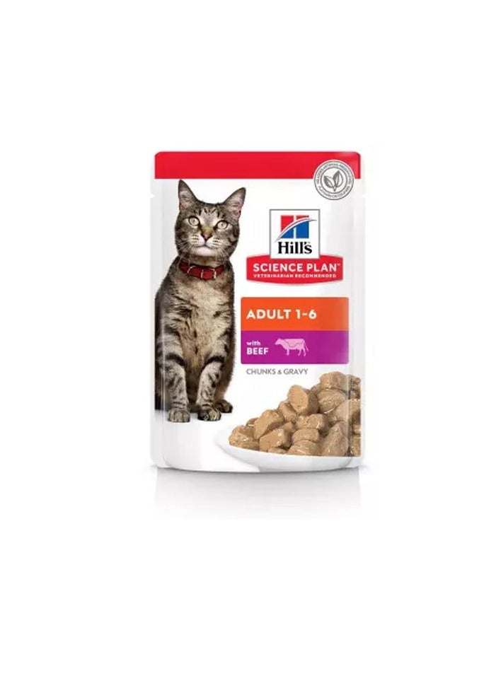 Hill's Science Plan Adult Wet Cat Food Beef  Pouches (85g x 12 Pcs) - 1 Box