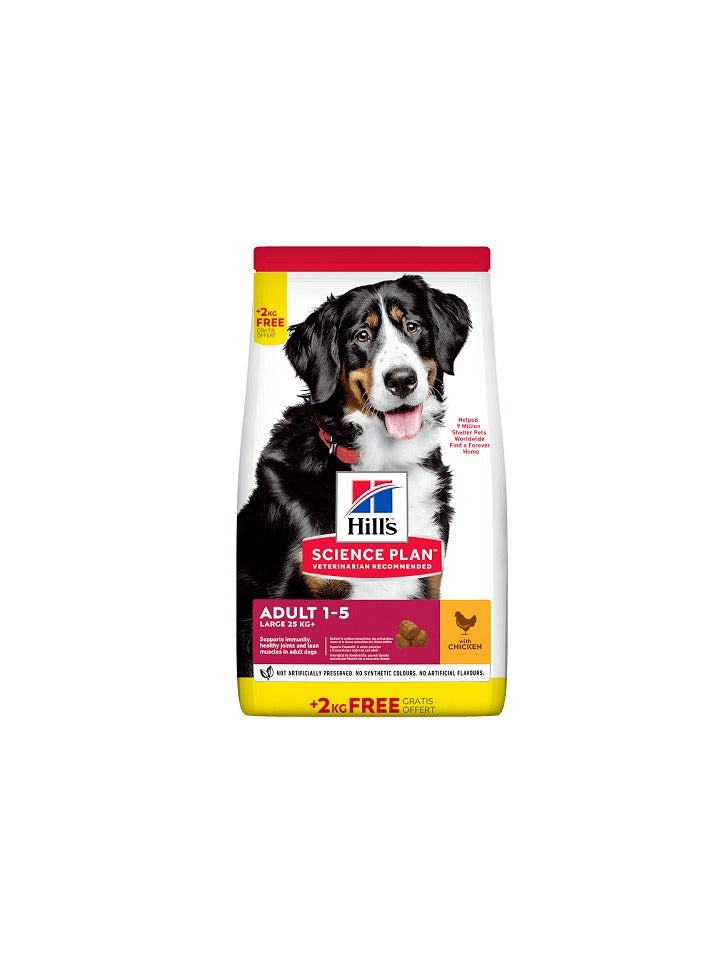 Hill’s Science Plan Large Breed Adult Dog Food With Chicken BONUS BAG