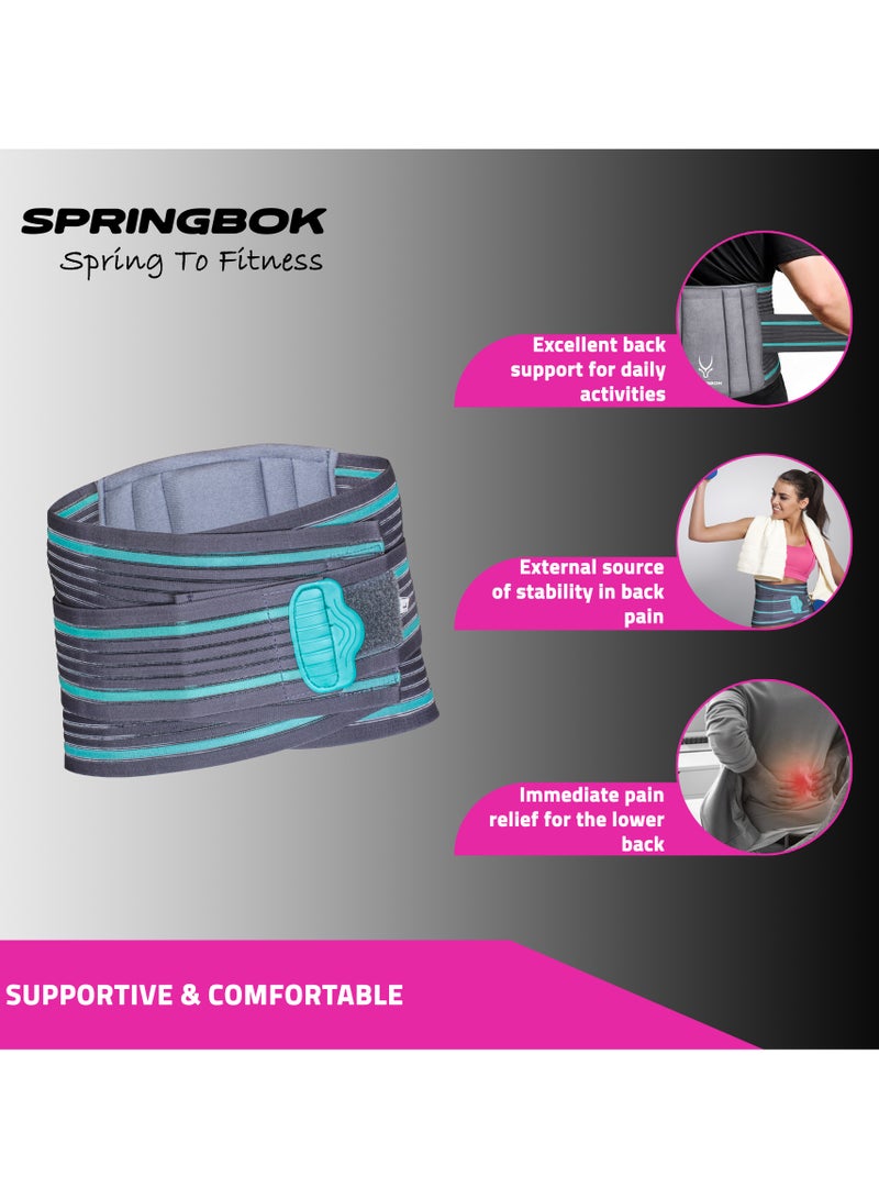 Springbok Lumbar Sacral Bel (L. S. Belt)