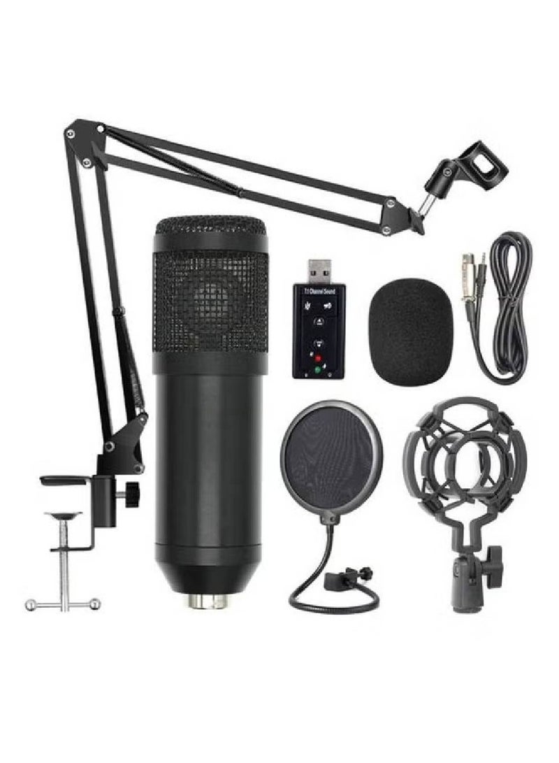 Professional Suspension Microphone Kit BM800 Black