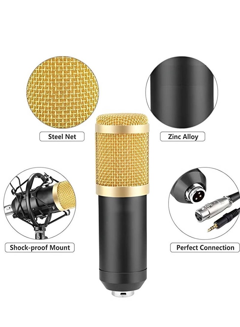 Professional Suspension Microphone Kit Bm800 Studio Live Stream Broadcasting Recording Condenser Microphone Set Vocal Microphones