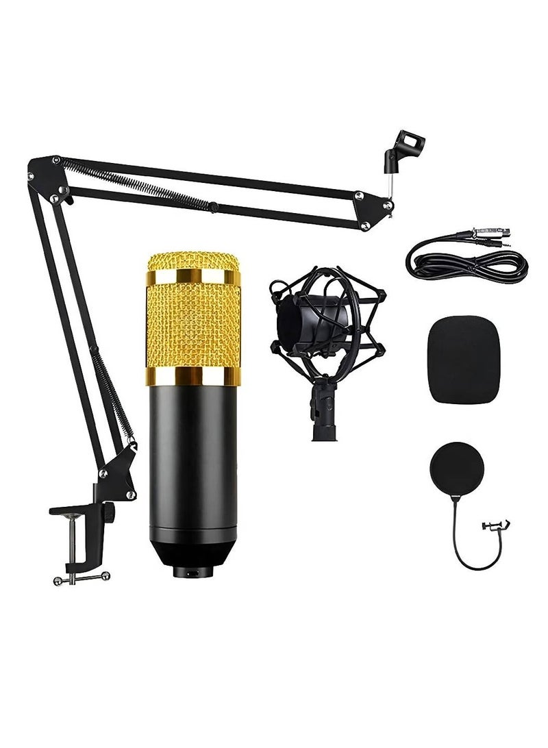 Professional Suspension Microphone Kit Bm800 Studio Live Stream Broadcasting Recording Condenser Microphone Set Vocal Microphones