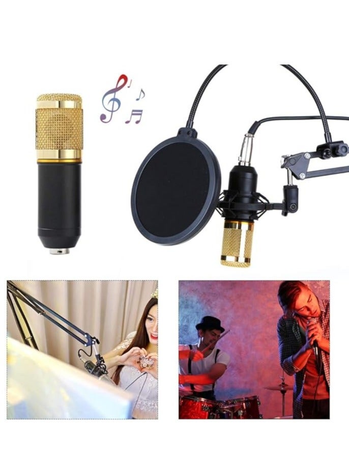 V8 Sound Card With Bm-800 Condenser Microphone Mic Kit With Live Sound Card Adjustable Mic Suspension Scissor Arm Metal Shock Mount And Double-Layer