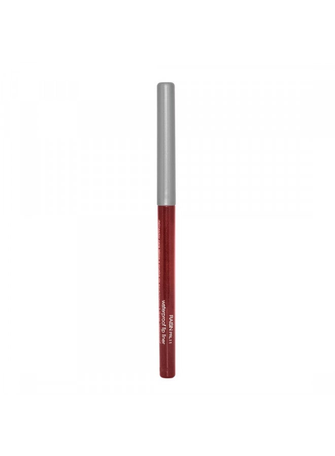 Palladio Retractable Waterproof Lip Liner High Pigmented and Creamy Color Slim Twist Up Smudge Proof Formula with Long Lasting All Day Wear No Sharpener Required, Raisin, 1 Count