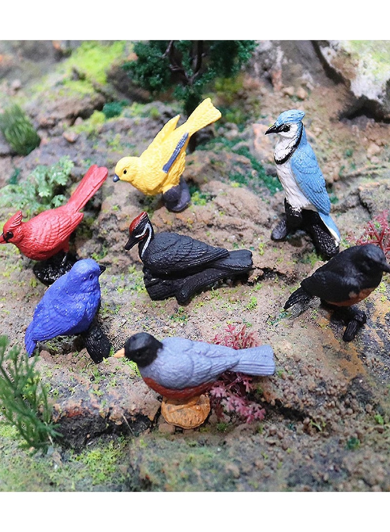 7 Mini Science Realistic Bird Figurines Children Toys