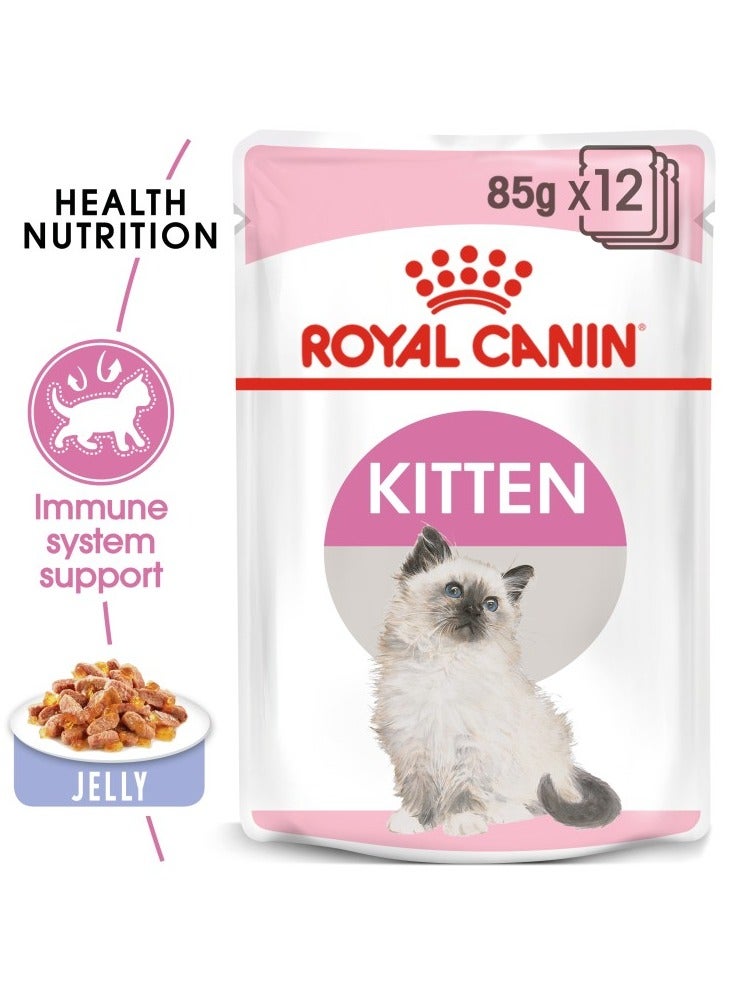 Feline Health Nutrition Kitten Jelly WET FOOD - Pouches