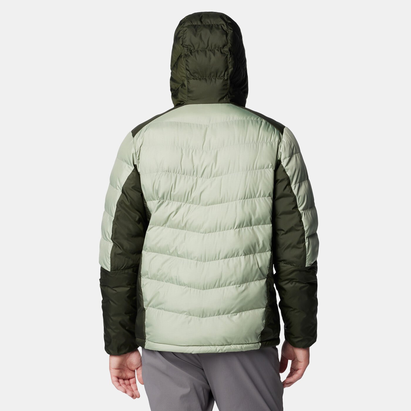 Men's Labyrinth Loop II Hiking Jacket