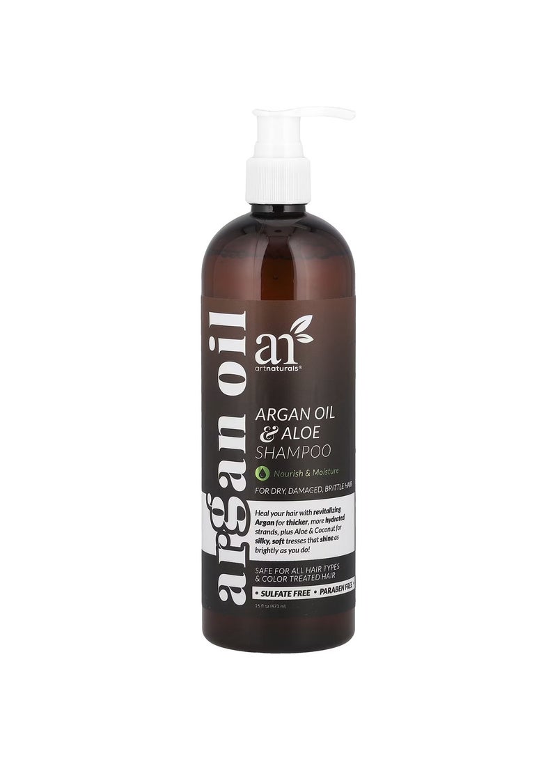 Argan Oil  Aloe Shampoo For Dry Damaged Brittle Hair 16 fl oz 473 ml