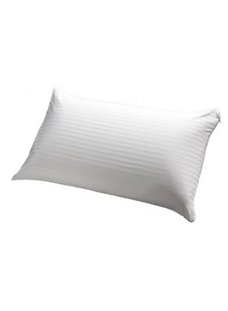 Set Of 2 Lavish Ultra Soft Rectangular Striped Pillows Cotton White 40x60cm