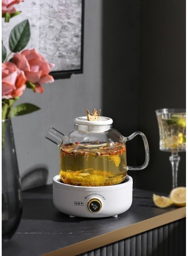 Electric Kettle Tea Pot Set, 1.6 Litre, 500 Watt, Glass, with Temperature Control