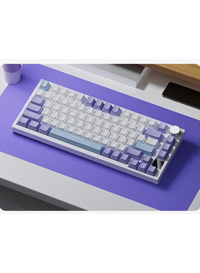 AK820 Pro Gaming Keyboard,75% Gasket-mounted Mechanical Keyboard with TFT Screen, RGB Light, 3 Modes(Bluetooth 5.1/2.4G Wireless & Type-C Wired), Sound Dampening Foams (Purple White, Ajazz Flying Fish Switch)