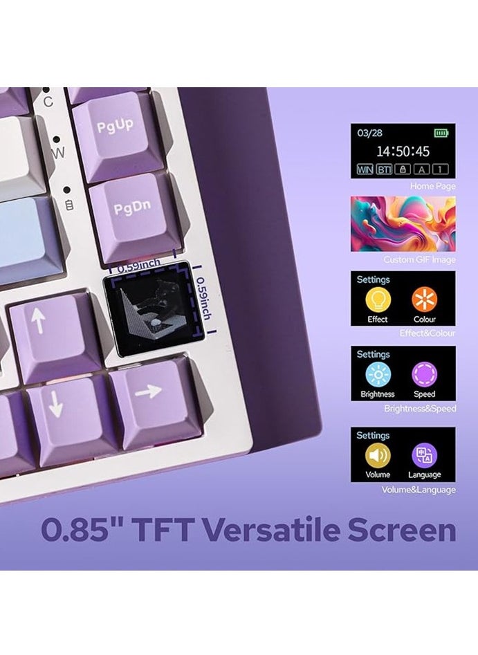 AK820 Pro Gaming Keyboard,75% Gasket-mounted Mechanical Keyboard with TFT Screen, RGB Light, 3 Modes(Bluetooth 5.1/2.4G Wireless & Type-C Wired), Sound Dampening Foams (Purple White, Ajazz Flying Fish Switch)