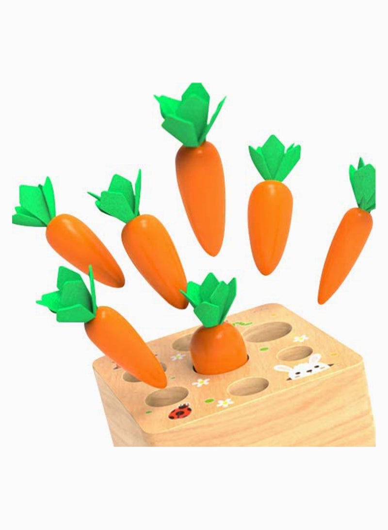 Montessori Wood Puzzle Toy with 7 Sizes Carrots