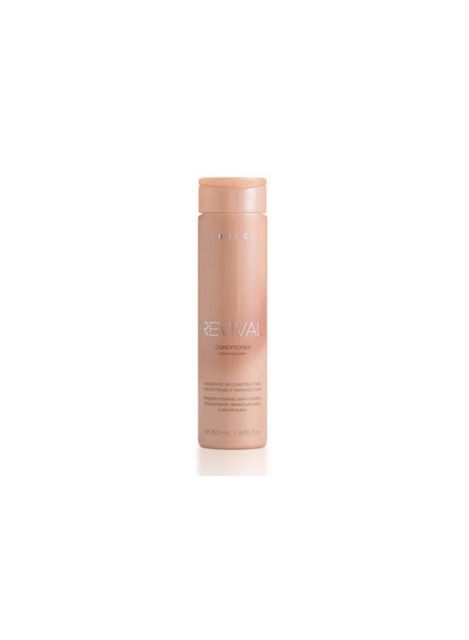 Braé Revival Conditioner