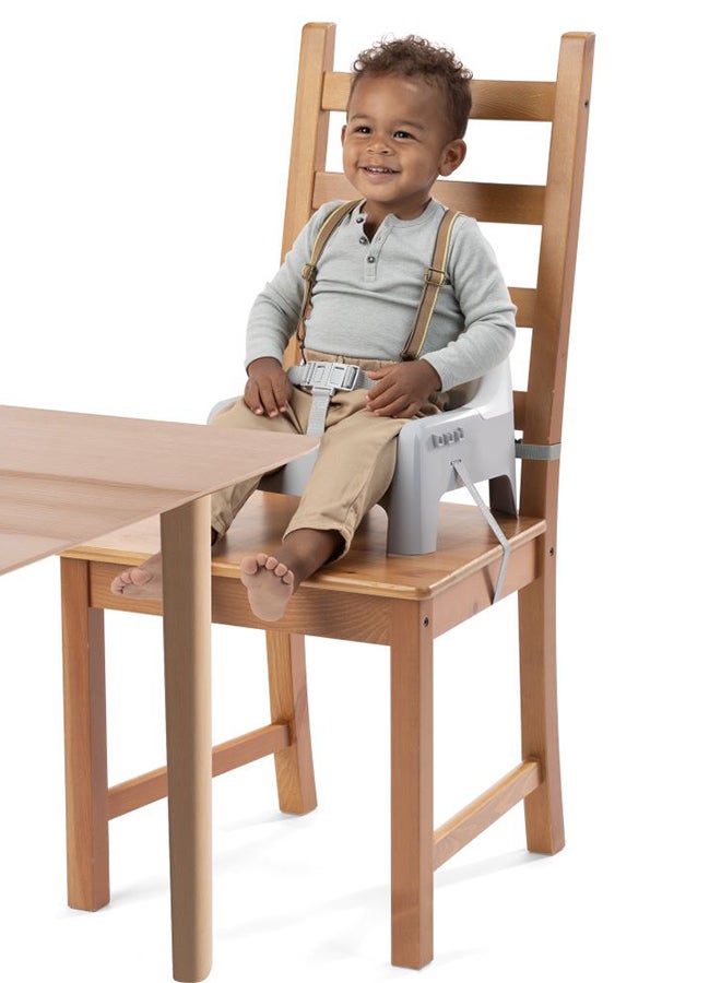 2-In-1 ITY Deluxe Learn-To-Dine Feeding Booster Seat, Dishwasher-Safe Plates, 3-Point Harness, Ages 6 Months+