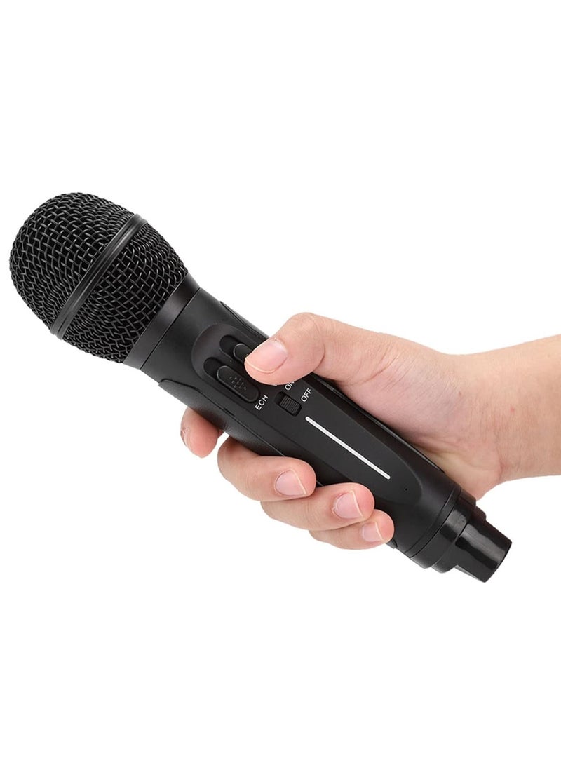 Portable Karaoke Machine with Bluetooth Speaker & 2 Wireless Microphones – Perfect for Home Parties, Adults & Kids – Black