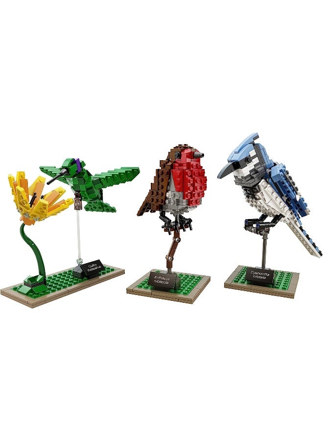 Lego Ideas Birds Cuusoo Set, Multi Color