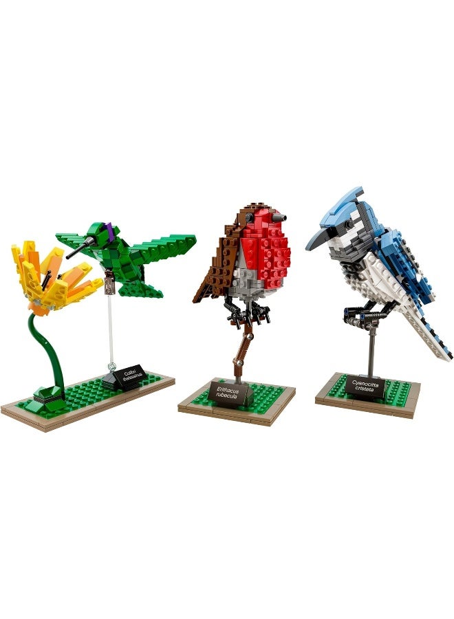 Lego Ideas Birds Cuusoo Set, Multi Color