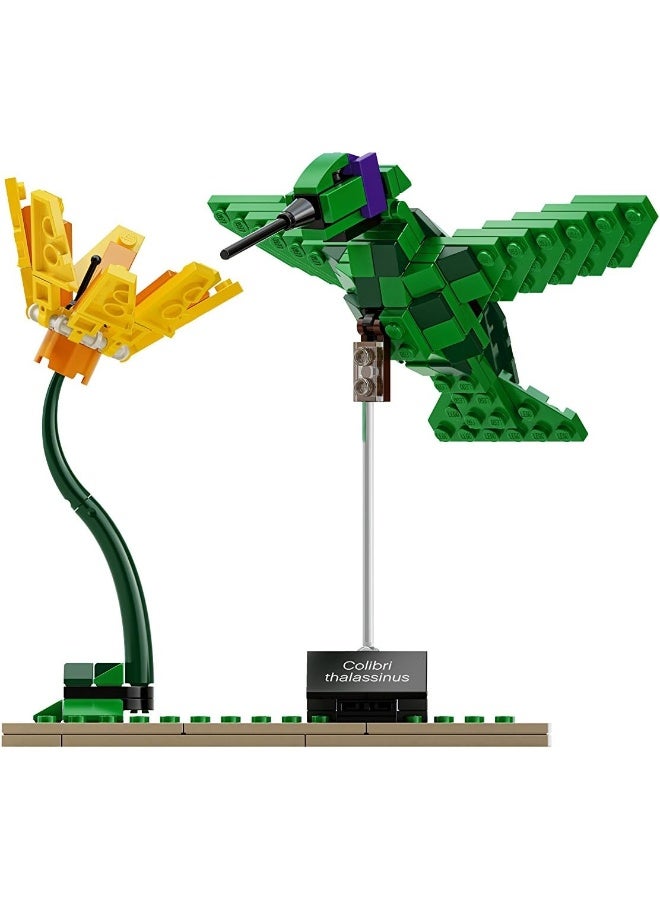 Lego Ideas Birds Cuusoo Set, Multi Color