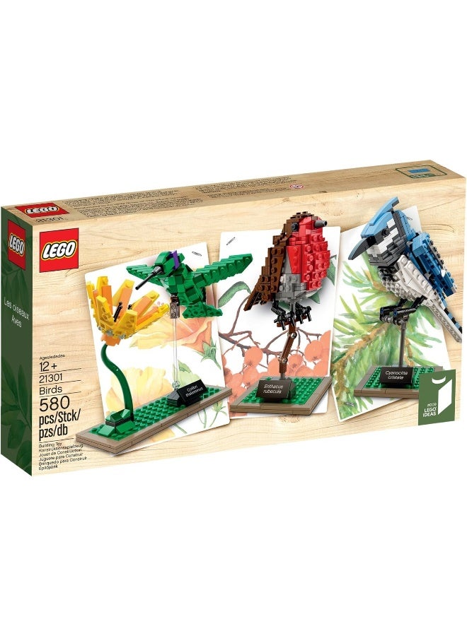 Lego Ideas Birds Cuusoo Set, Multi Color