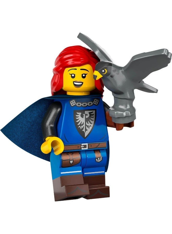 LEGO Collectable Minifigures Series 24 - Falconer with Stand and Accessories